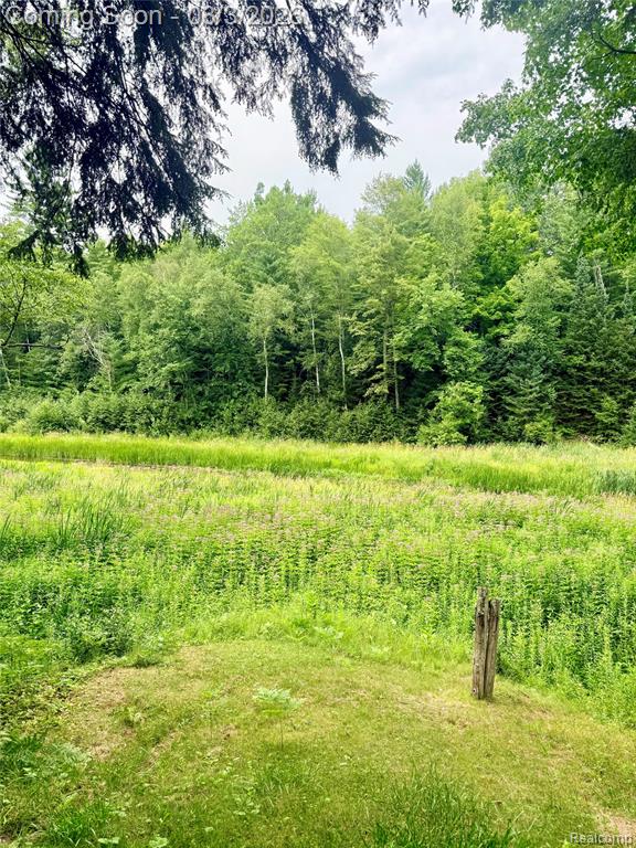 2830 River Ridge Road Alger, MI 48610 - Photo 28 of 32 Gallery Image 28