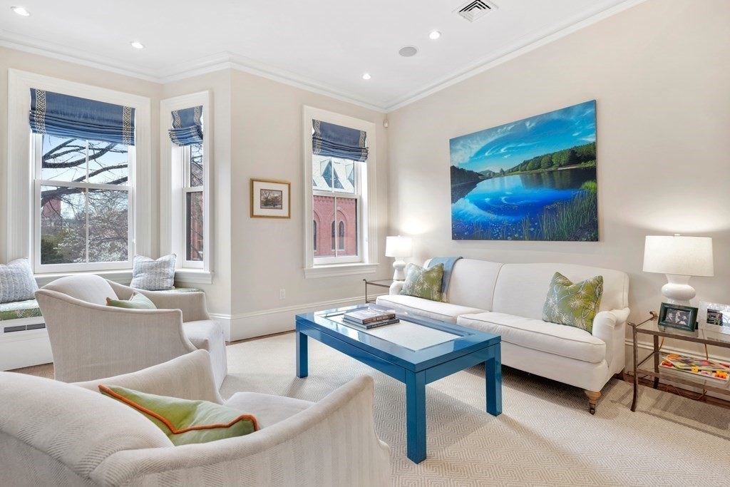 173 Warren Avenue, Unit 2 Boston, MA 02116 - Photo 4 of 32 a living room with furniture and a potted plant