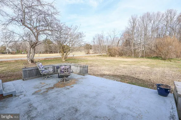 a view of a backyard with large trees