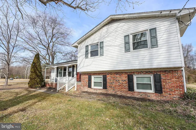 a view of yard with trees