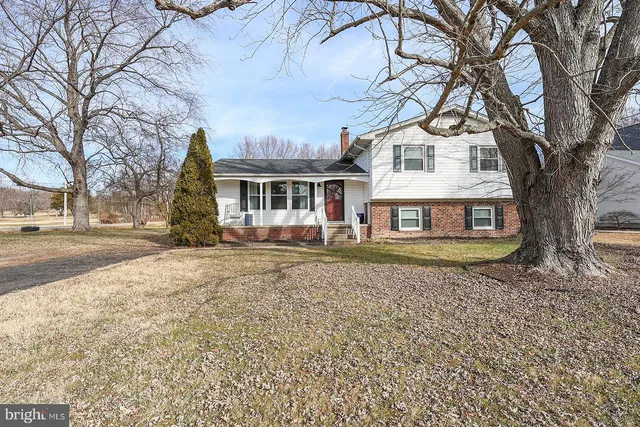 a front view of a house with a yard and large trees