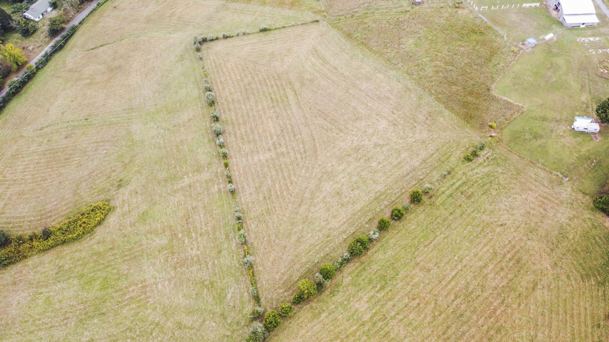 0 Speers Road Kingston, TN 37763 - Photo 12 of 21