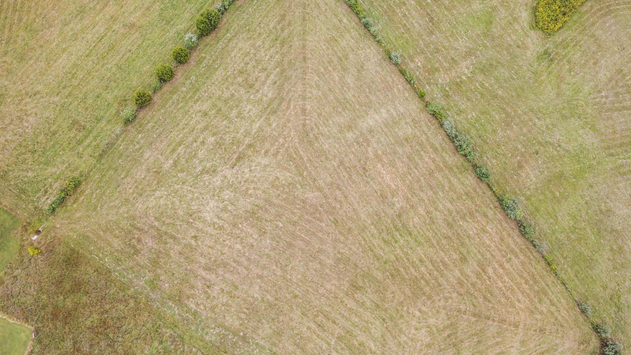 0 Speers Road Kingston, TN 37763 - Photo 13 of 21