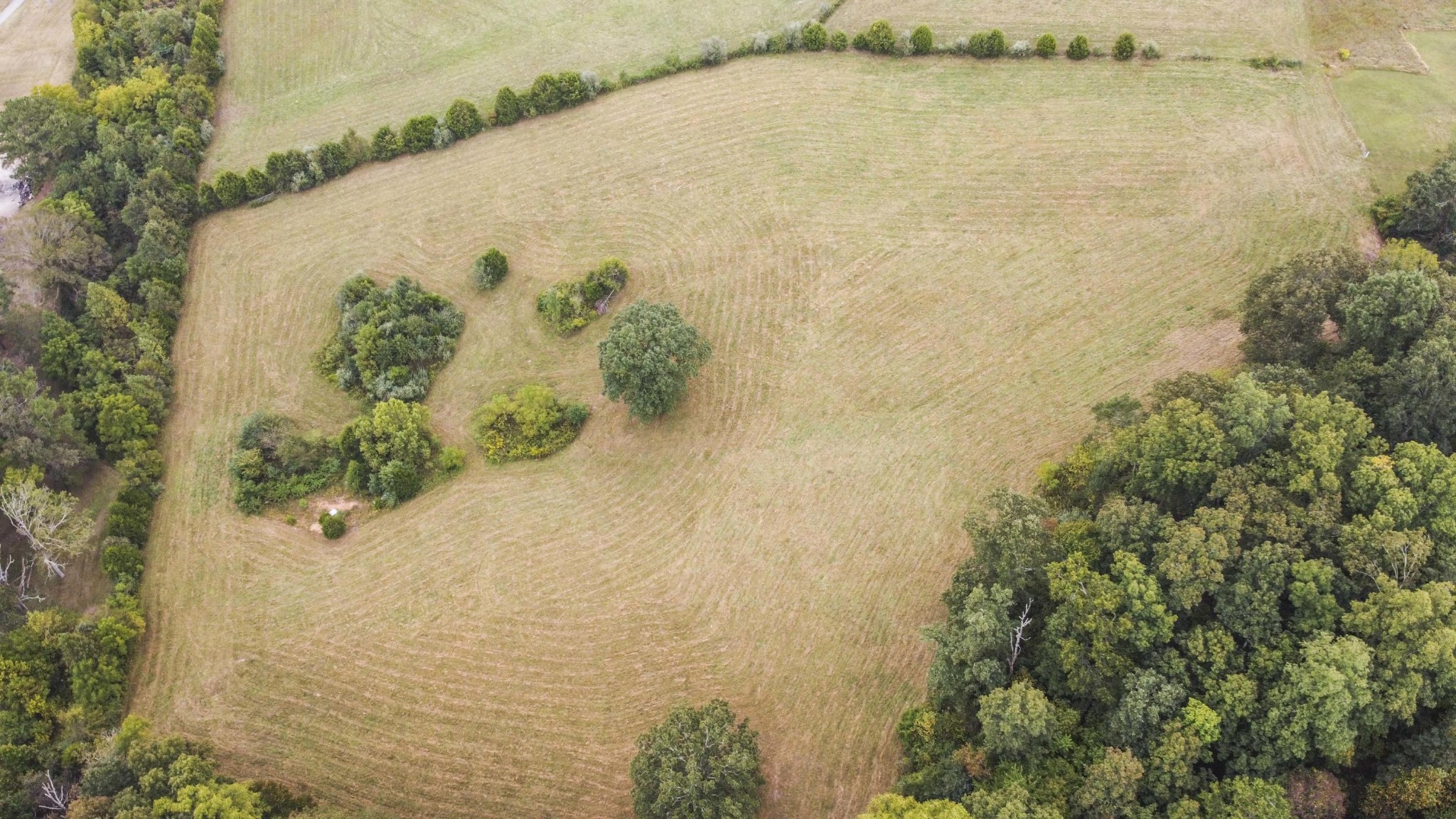 0 Speers Road Kingston, TN 37763 - Photo 17 of 21