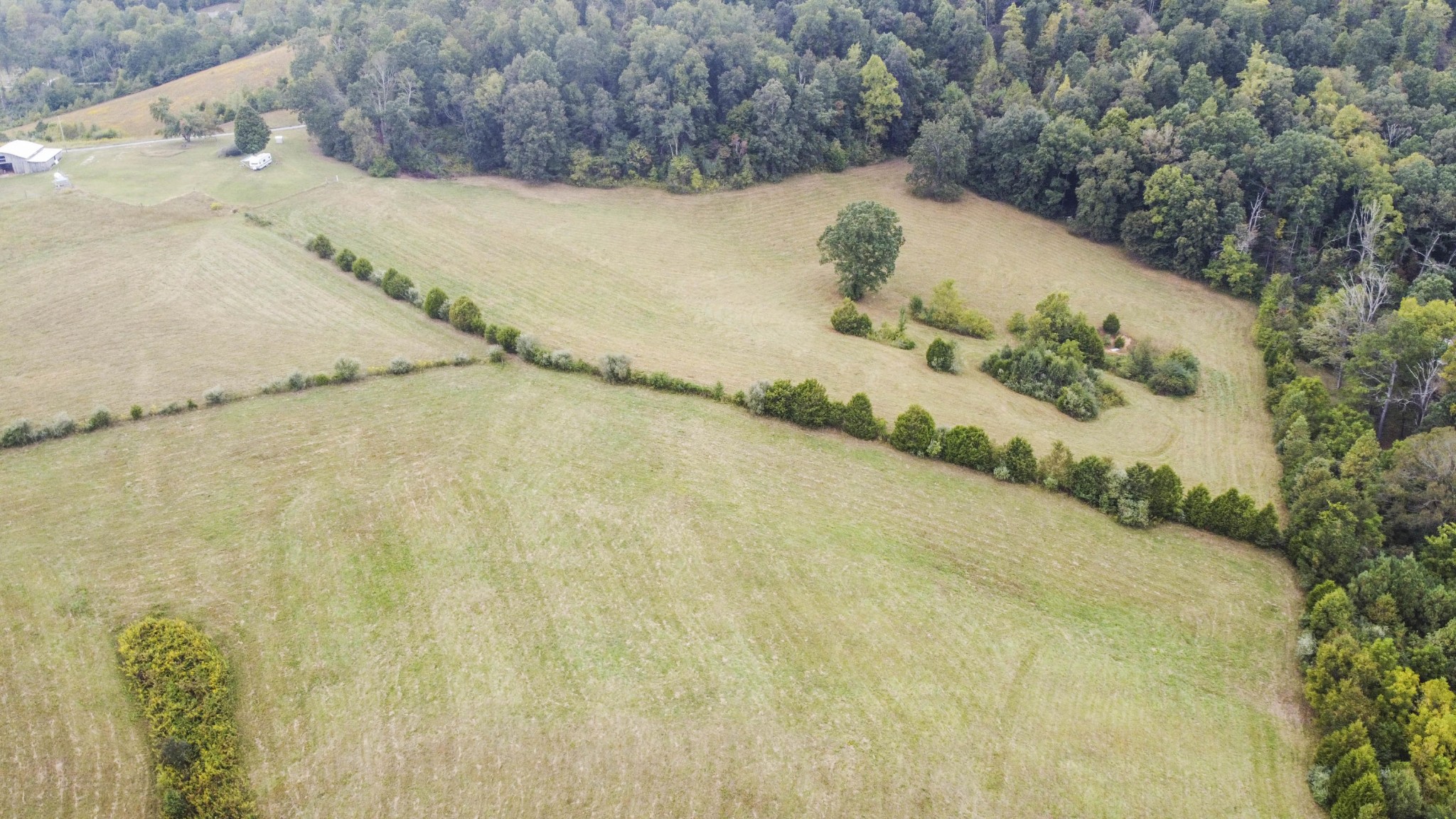 0 Speers Road Kingston, TN 37763 - Photo 3 of 21