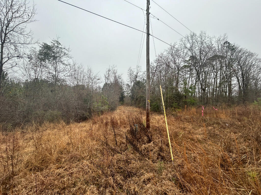 539 2 Churches Road Dorchester, SC 29437 - Photo 2 of 7 02