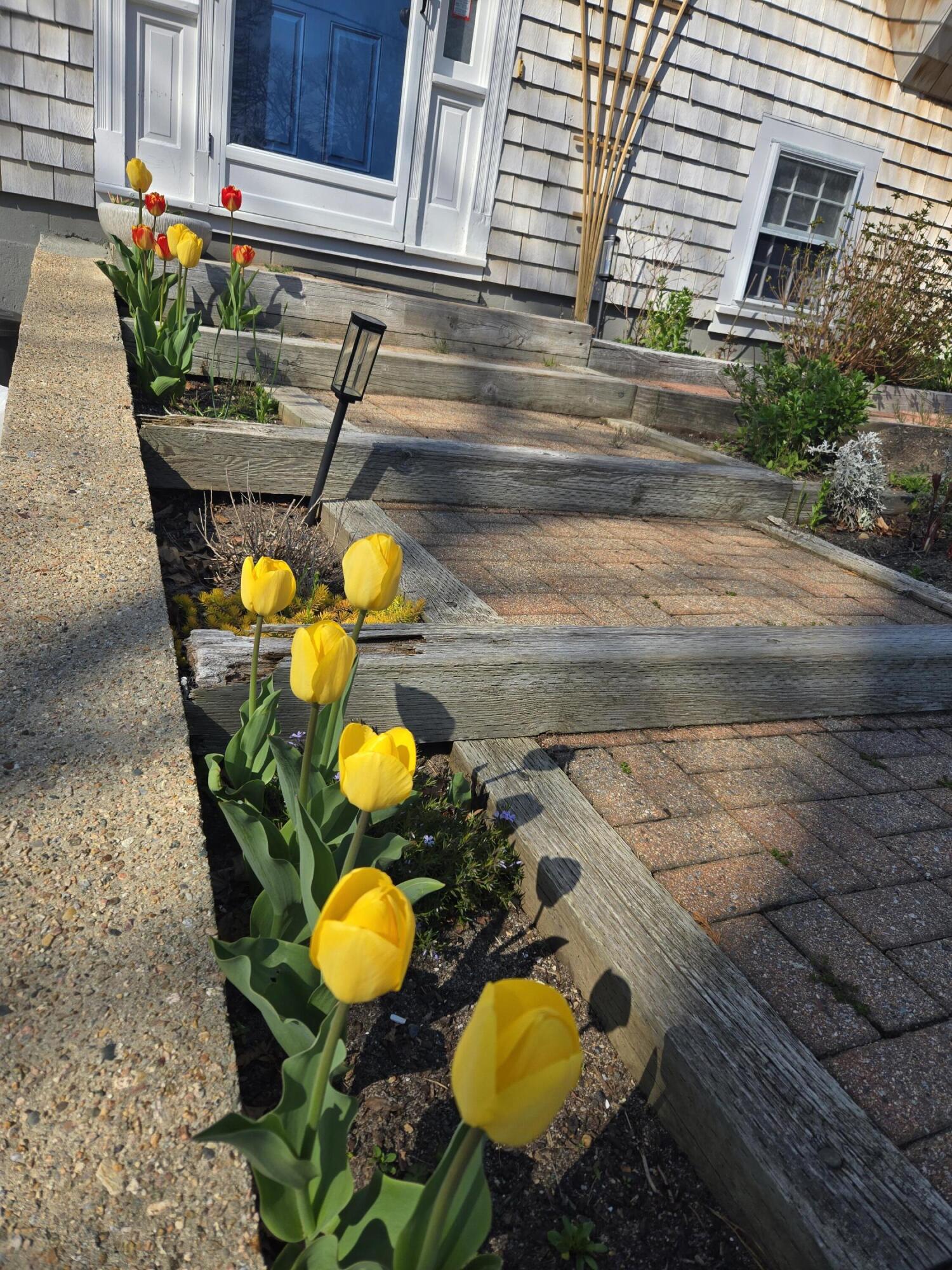 6 Paddock Drive Harwich, MA 02645 - Photo 36 of 40 a bathroom with a sink
