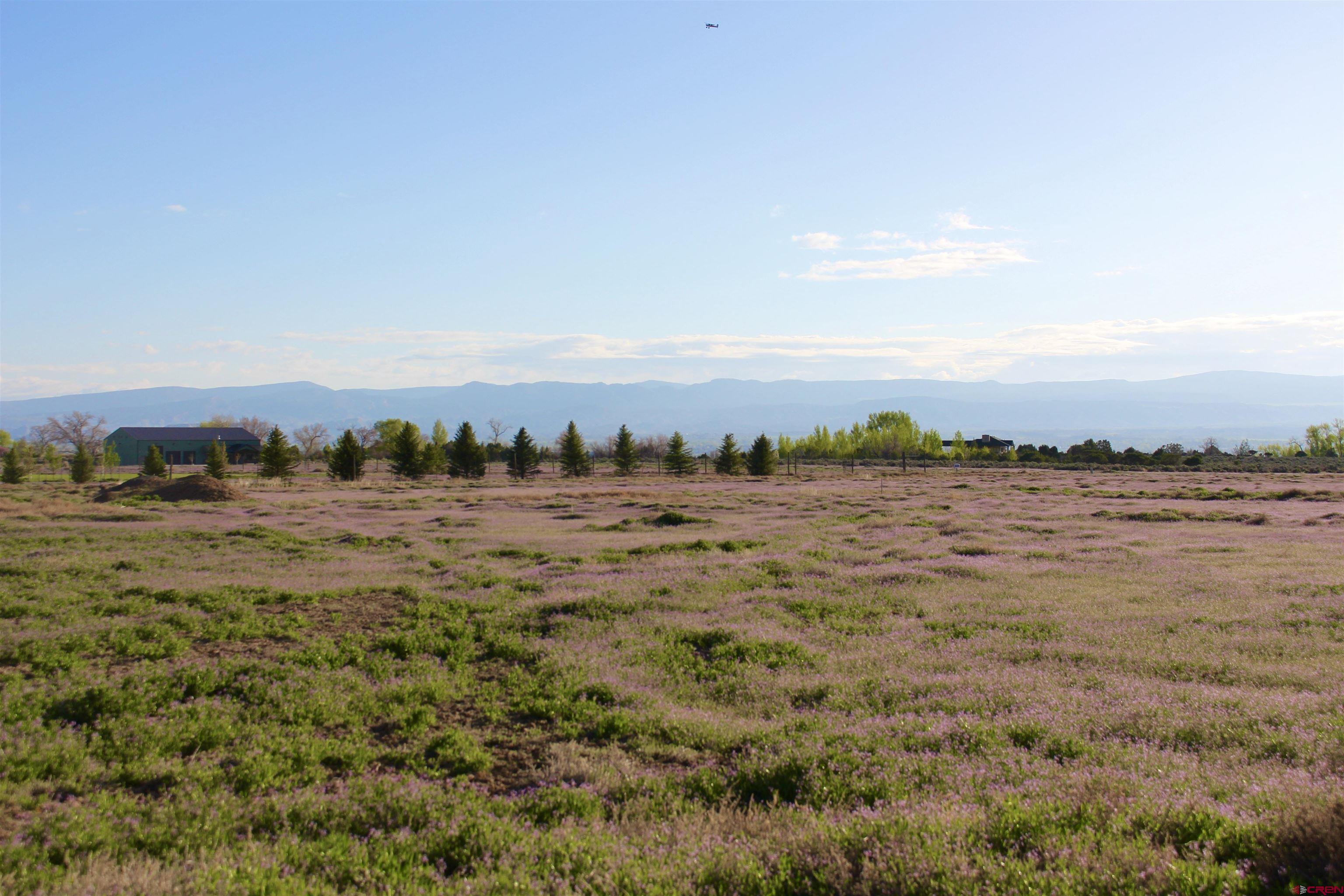 Lot 3 6300th Road Montrose, CO 81403 - Photo 18 of 25 an aerial view of residential houses with outdoor space