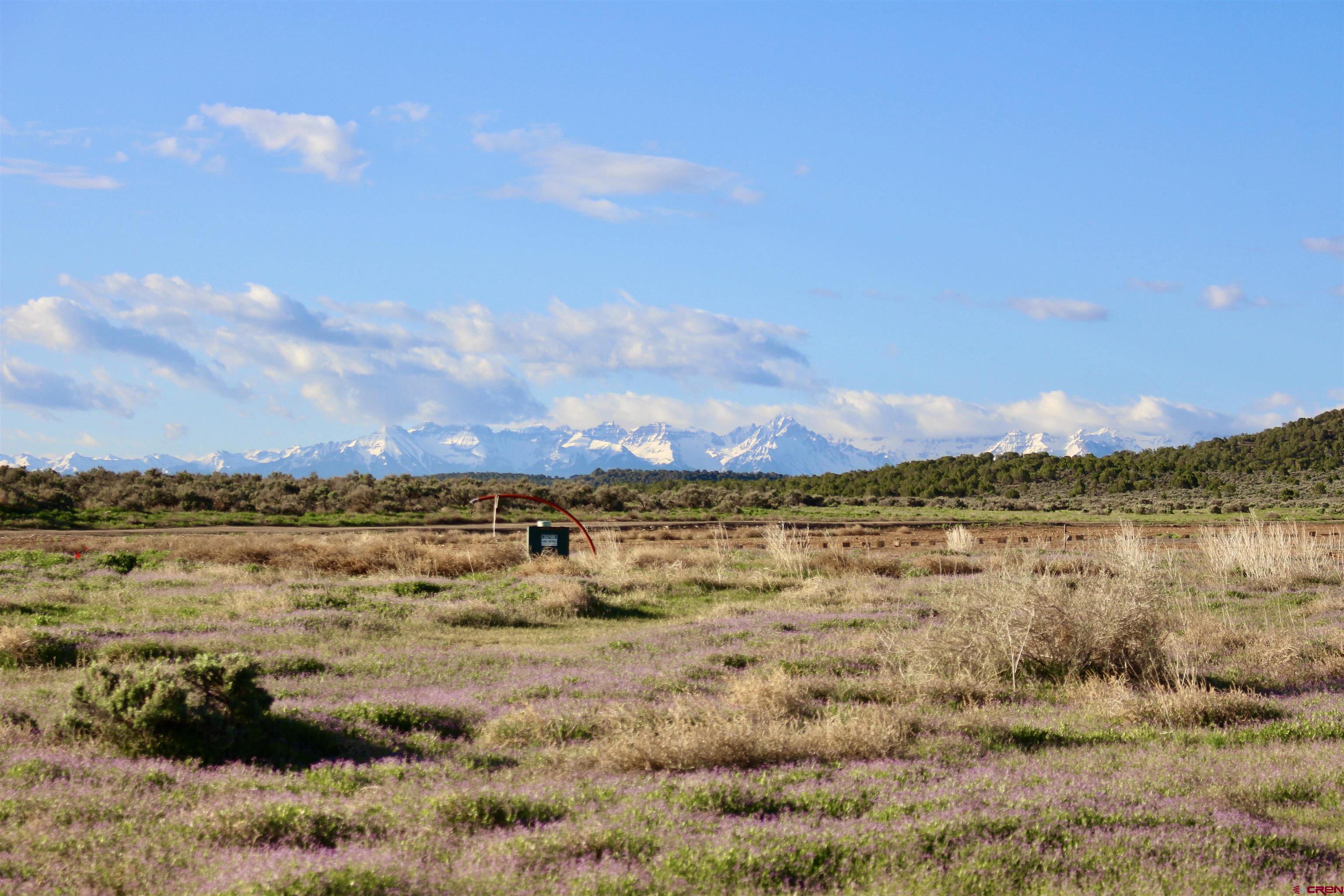 Lot 3 6300th Road Montrose, CO 81403 - Photo 19 of 25 a view of lake