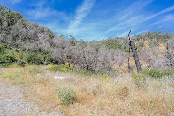 a view of a dry yard with mountains in the background
