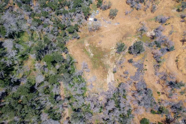 a view of a dry yard with trees in the background