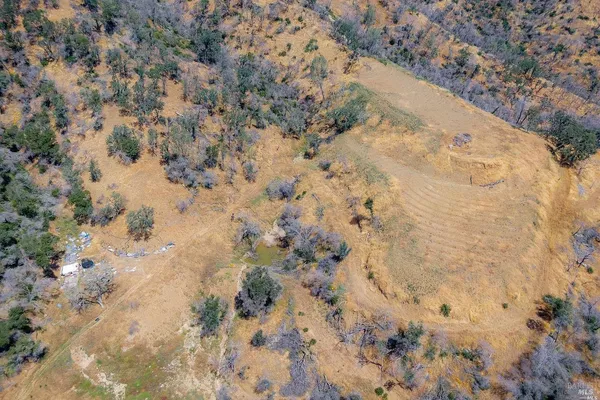 a view of a dry yard with trees