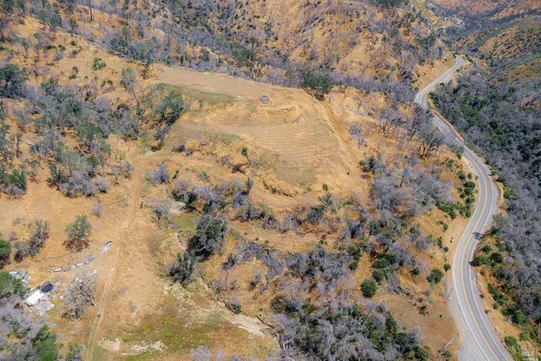 a view of a dry yard