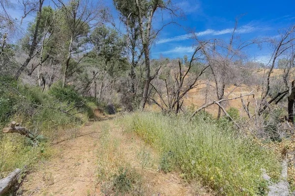 a view of a dry yard with mountains in the background