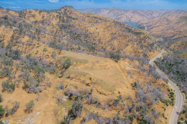 a view of a dry yard in a forest