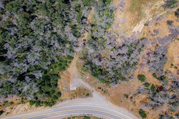 a view of a dry yard with lots of bushes