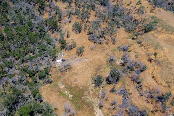 a view of a dry yard with trees in the background