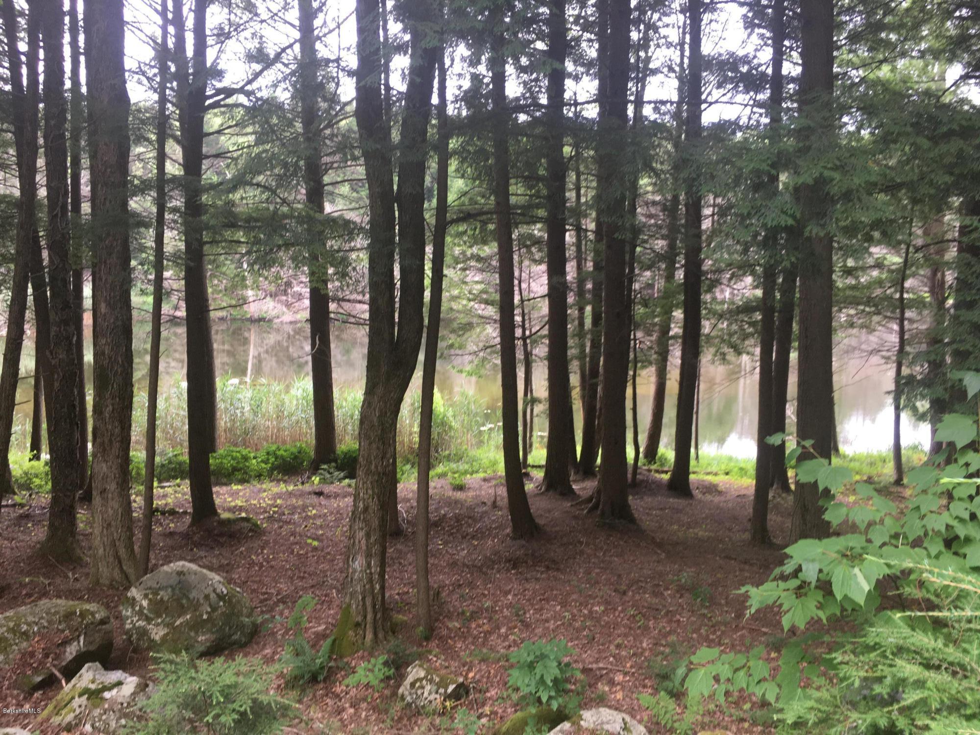 7 North Main Road Otis, MA 01253 - Photo 2 of 24 a view of park