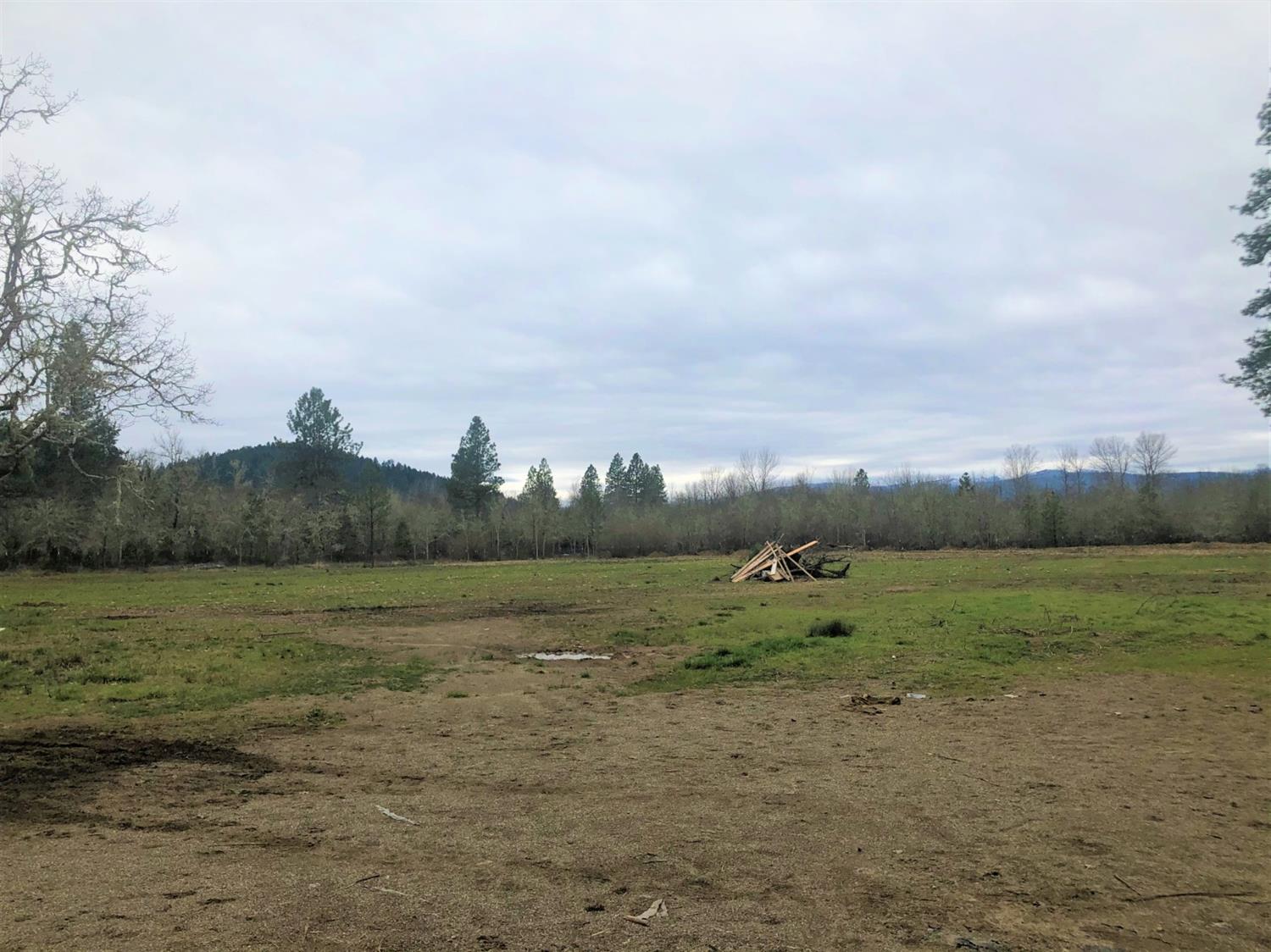719 Althouse Creek Road Cave Junction, OR 97523 - Photo 3 of 16 Additional Photo