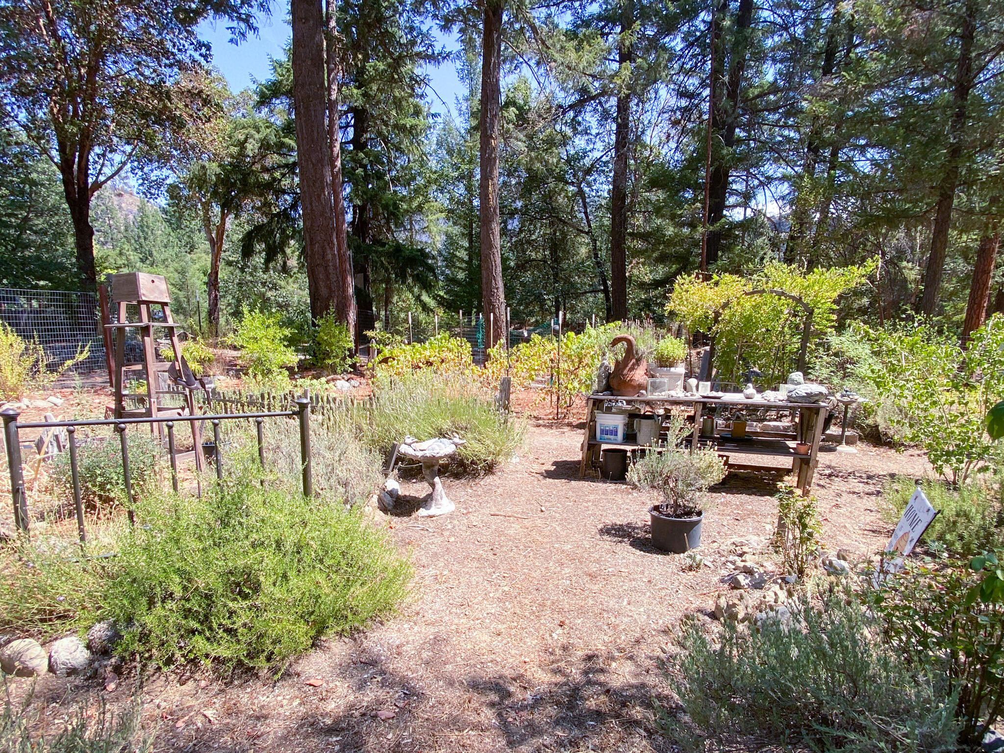 361 Senger Road Junction City, CA 96048 - Photo 36 of 39 Honey Bee Garden