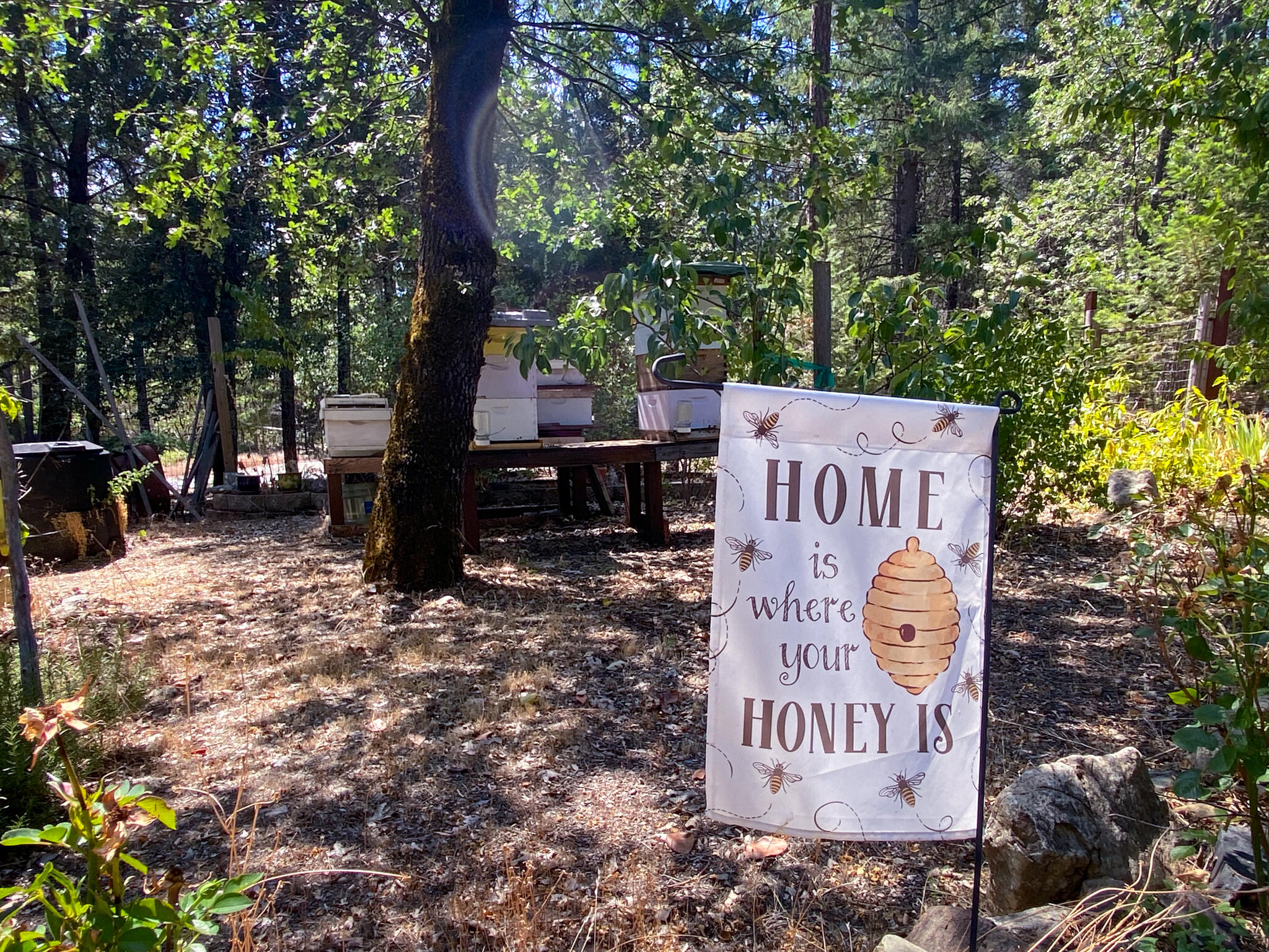 361 Senger Road Junction City, CA 96048 - Photo 38 of 39 Whose got the Honey?