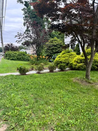 a view of yard with green space