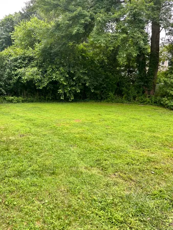 a view of a green yard