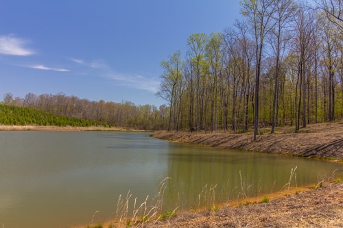 795 Hurley School House Road Ramer, TN 38367 - Photo 14 of 24 Gallery Image 14