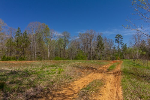 795 Hurley School House Road Ramer, TN 38367 - Photo 3 of 24 Gallery Image 3