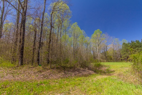 795 Hurley School House Road Ramer, TN 38367 - Photo 22 of 24 Gallery Image 22