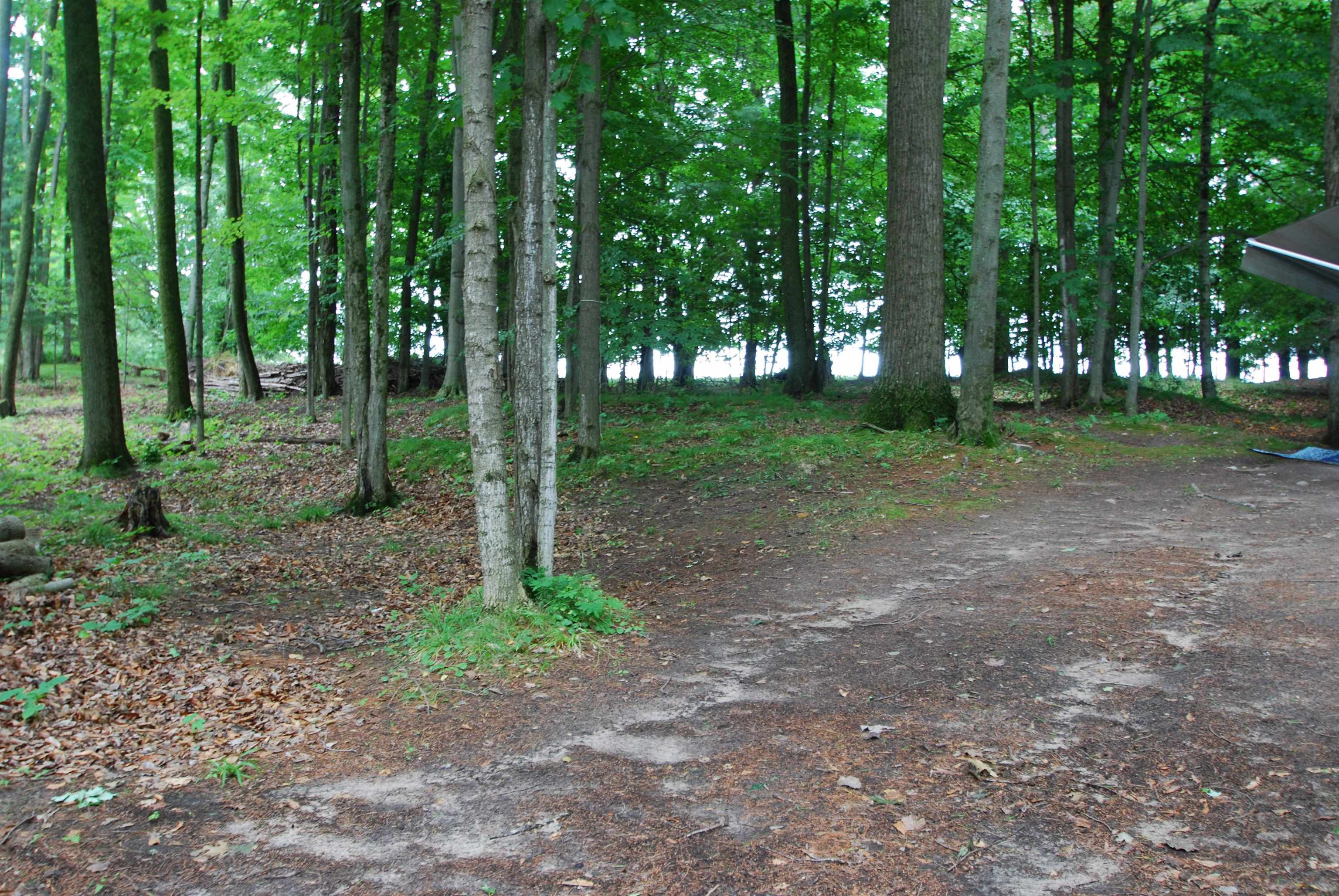 X Maple Ridge Drive, Unit LOT: 2627 Lupton, MI 48635 - Photo 4 of 23