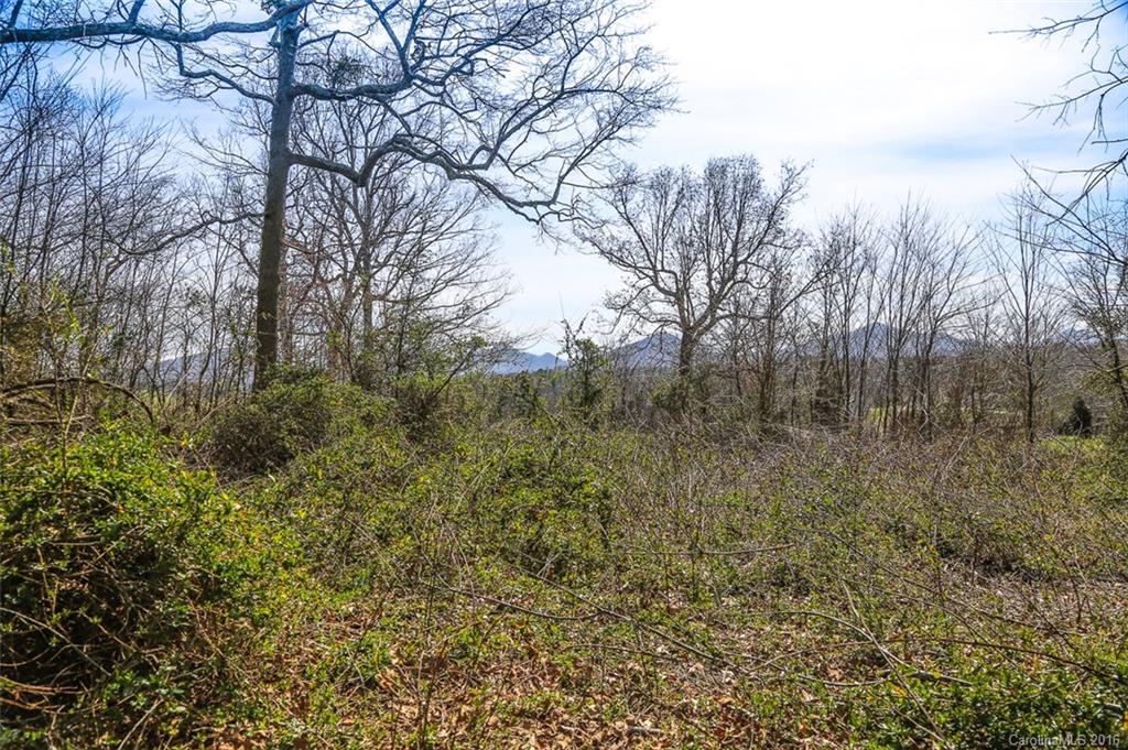 20 Lawson Ridge Road, Unit 20 Leicester, NC 28748 - Photo 12 of 24 Gallery Image 12