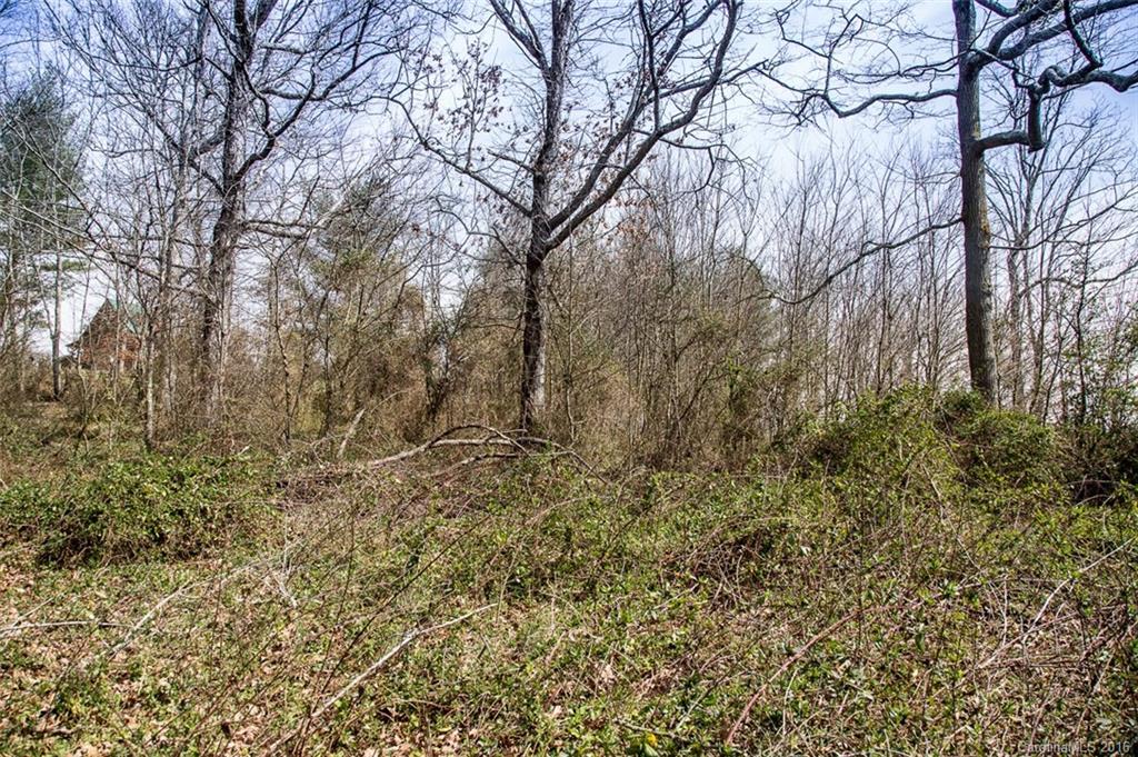 20 Lawson Ridge Road, Unit 20 Leicester, NC 28748 - Photo 15 of 24 Gallery Image 15