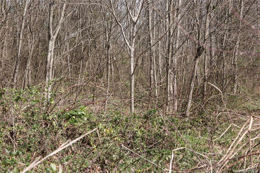 20 Lawson Ridge Road, Unit 20 Leicester, NC 28748 - Photo 17 of 24 Gallery Image 17
