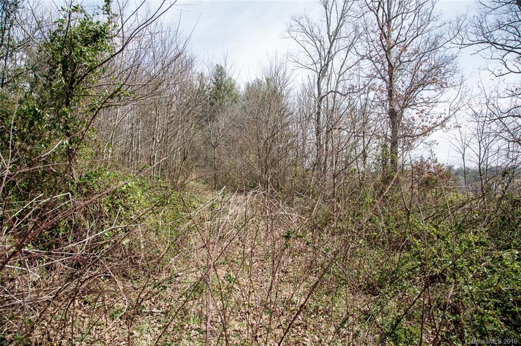 20 Lawson Ridge Road, Unit 20 Leicester, NC 28748 - Photo 19 of 24 Gallery Image 19
