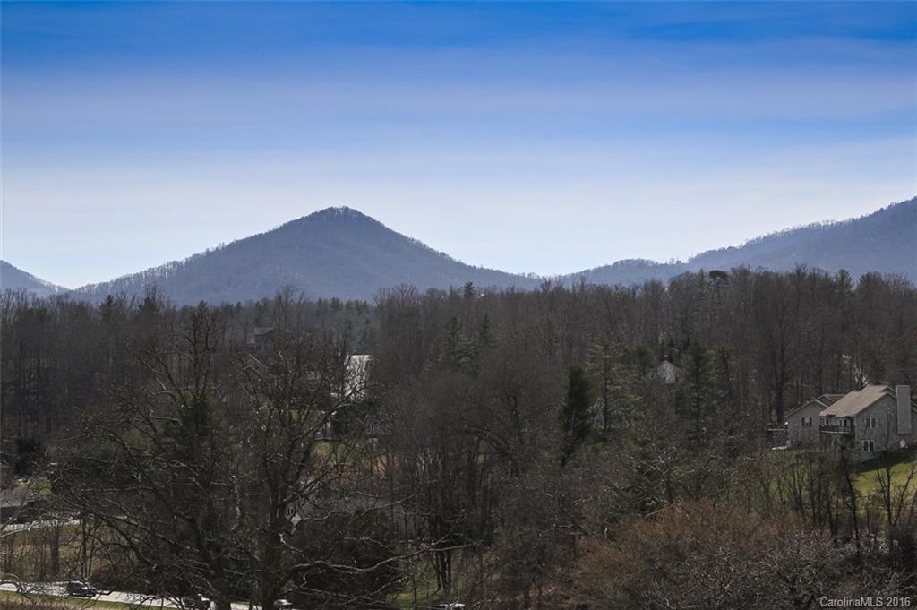 20 Lawson Ridge Road, Unit 20 Leicester, NC 28748 - Photo 20 of 24 Gallery Image 20