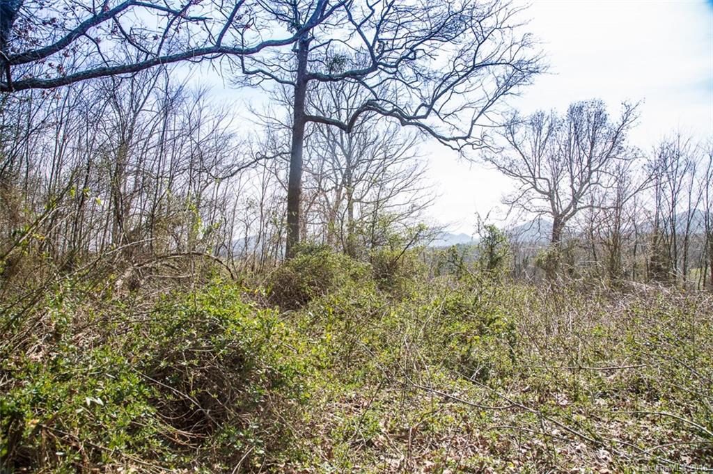 20 Lawson Ridge Road, Unit 20 Leicester, NC 28748 - Photo 22 of 24 Gallery Image 22