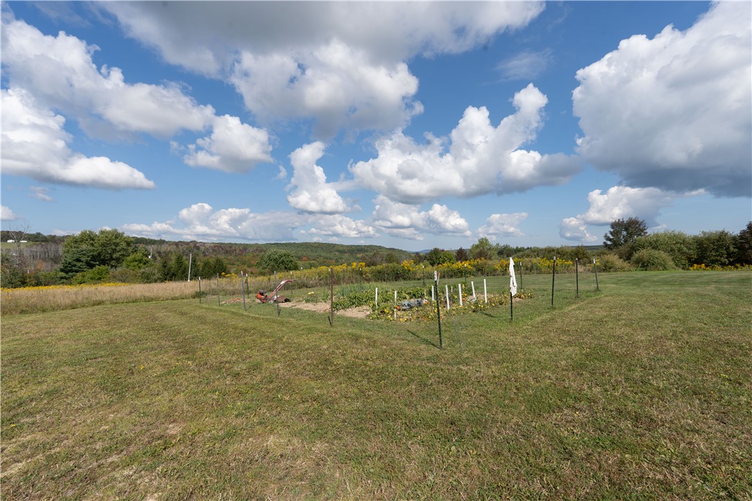 11672 Davis Road Prattsburgh, NY 14873 - Photo 40 of 48