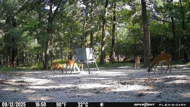 a view of a outdoor space