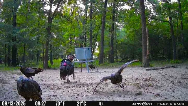 a view of outdoor space and entertaining space