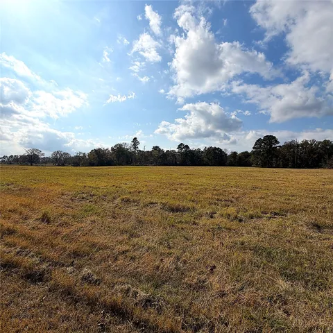 $499,000 | 15031 Farm To Market Road 542, Oakwood, TX 75855