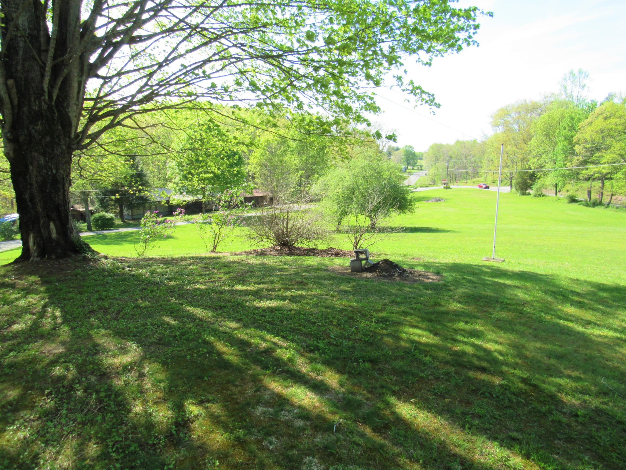 119 Andy Cooper Road Lancing, TN 37770 - Photo 26 of 35 a view of an outdoor space and a yard
