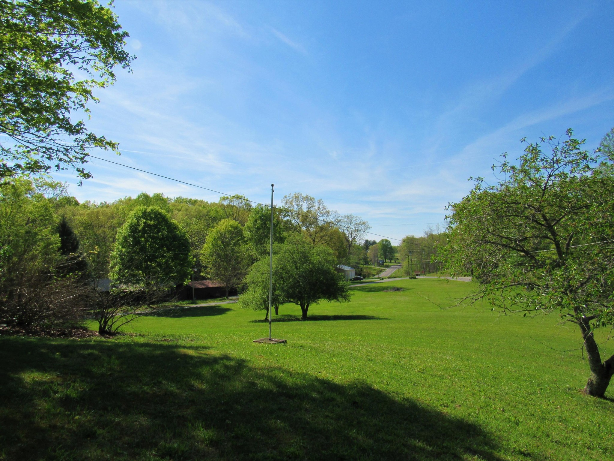119 Andy Cooper Road Lancing, TN 37770 - Photo 28 of 35 a view of a park with large trees