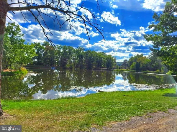 a view of a lake in a garden