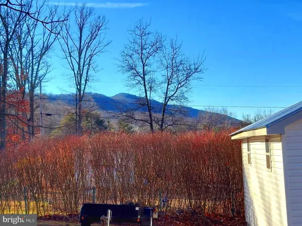 a view of backyard with hardwood