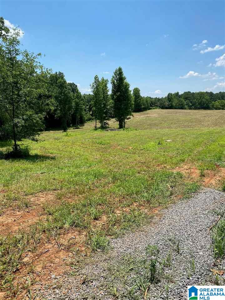 0 Runway Drive, Unit 1 Hayden, AL 35079 - Photo 5 of 9