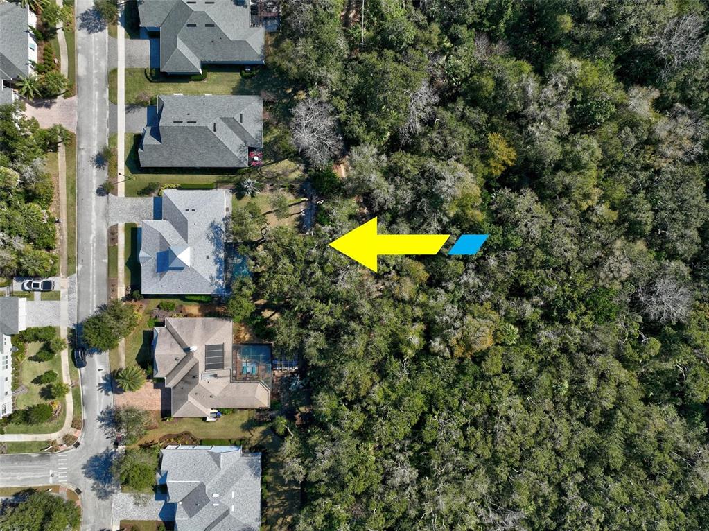65 Sandy Beach Way Palm Coast, FL 32137 - Photo 8 of 85 an aerial view of residential houses with outdoor space and swimming pool