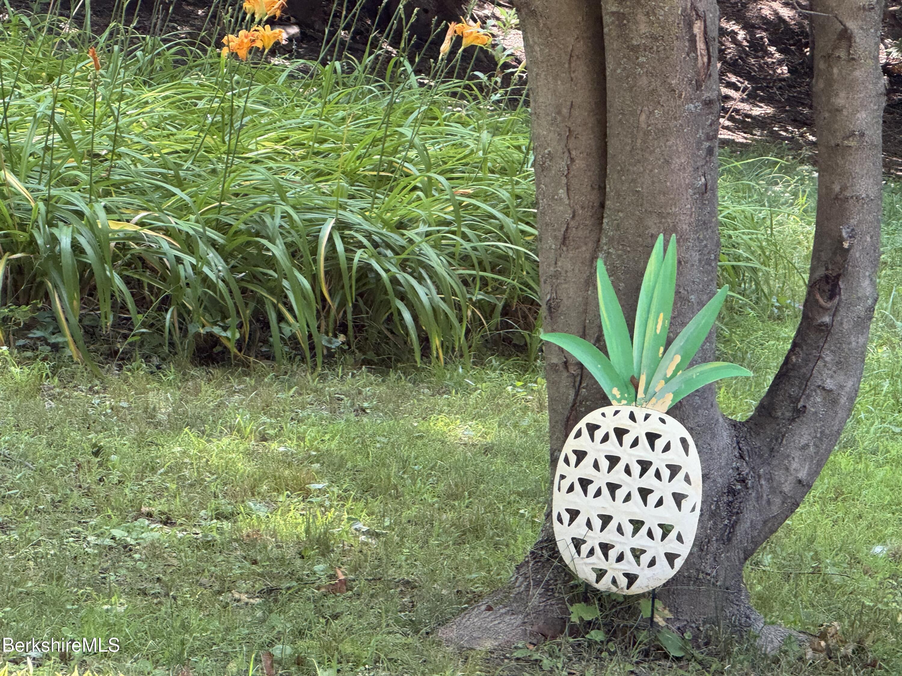 38 Wesleyan Street North Adams, MA 01247 - Photo 32 of 32 Pineapple Cottage