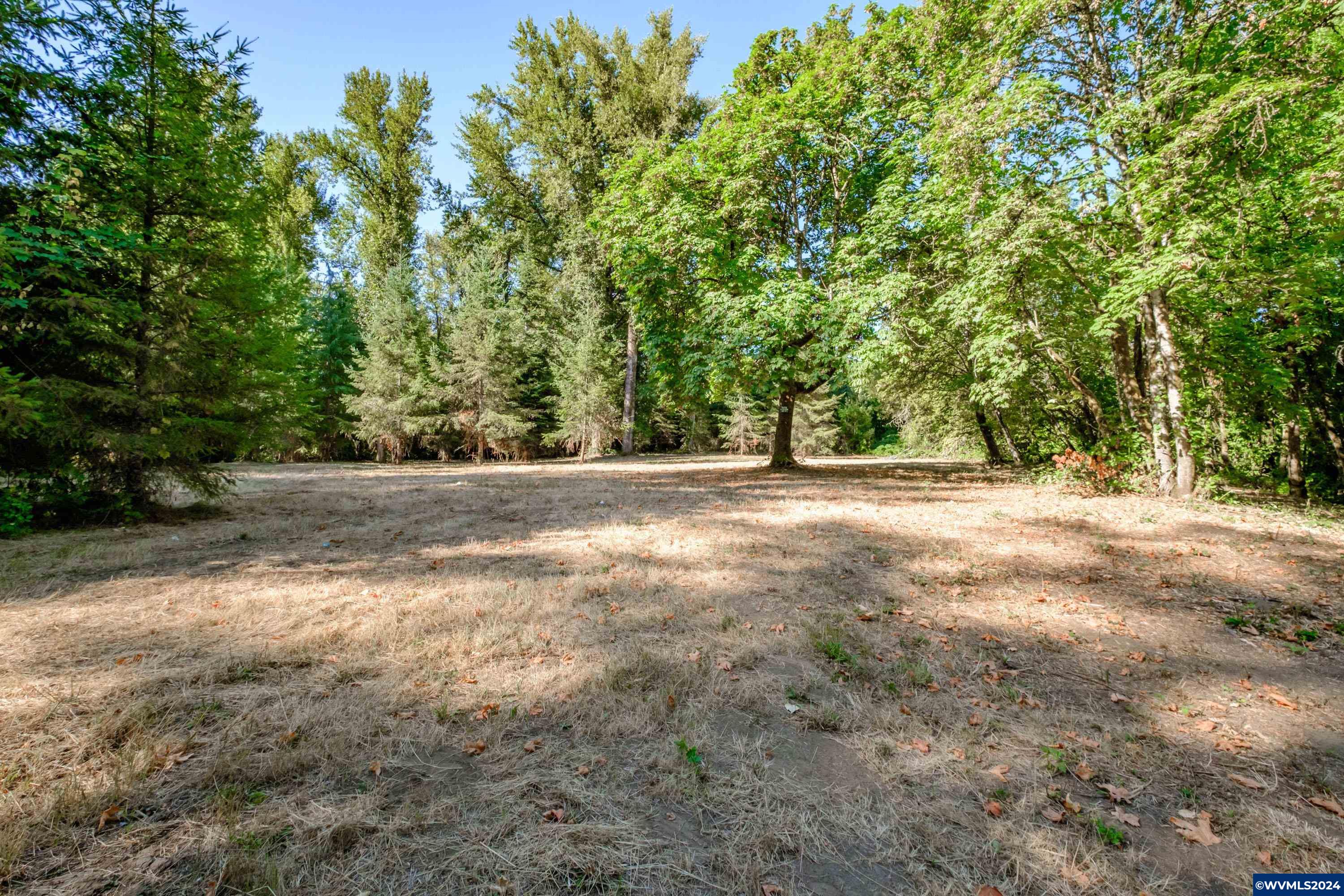 Lot 3 Matheny Road Gervais, OR 97026 - Photo 4 of 27