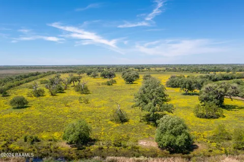 $575,355 | 0 West W Highway, Unit LOT 1, Abbeville, LA 70510